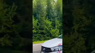 И катализатор еще вырезать надо 🥹 #лада #катализатор #юмор #reels #day #vlog