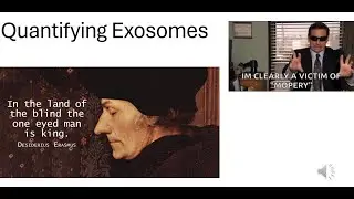 Quantifying Exosomes