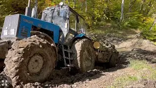 Tractor Stuck in the Forest! Rescue Story 🚜🌲 | Top Searches: Off-Road, Forest Rescue