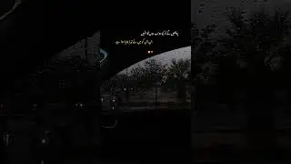 Jin ko Tera Btaya Huwa Ha 🥺❤️|Urdu shayari|#viralshort #goesviral #shorts #viralshort