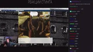 СТИНТ ПРОХОДИТ: ТЕСТ НА ЗЕКА