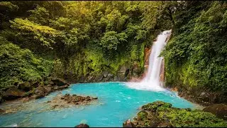 COSTA RICA 2019 // drone & wildlife travel video