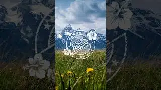 Wyoming 4K Relaxation Film | Grand Teton National Park | Yellowstone with Ambient Music #Shorts