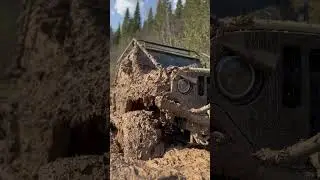 Засадил УАЗ на Лапах 🙈 