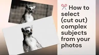 How to select (cut out) complex subjects from your photos using Photoshop