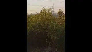 Village Beauty 