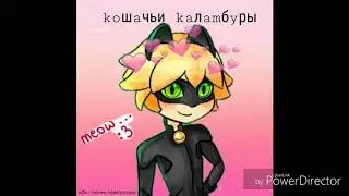 Комикс «Вы могли просто сказать 