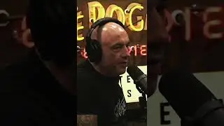 Why MMA Should Have No Cage