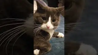 Это чьё!?
