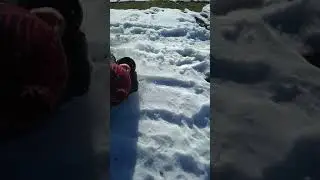 Покатушки на спине  баршамай
