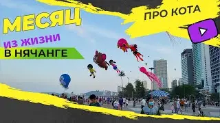 [VLOG] МЕСЯЦ ИЗ ЖИЗНИ В НЯЧАНГЕ (14.02-14.03.2022)