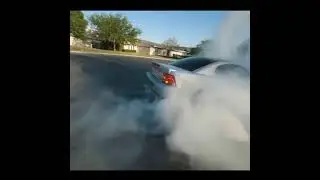 Terminator cobra burnout
