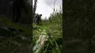 Страшно как в фильме Пила