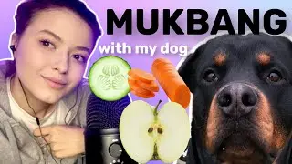 Мукбанг с собакой | Кушаем с собакой | ASMR | ASMR WITH MY DOG 🐶 | MUKBANG