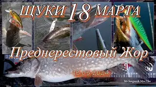 Щуки 18 марта Преднерестовый жор