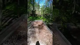 как красиво читает 😍