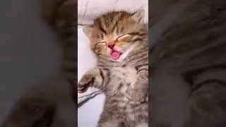Sweet and cute 