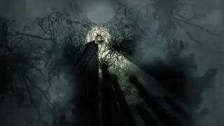 Darkwood | Locations: Thicket (Snare Traps)