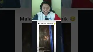 React Meme Discord Lucu 