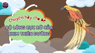 Truyện bộ lông rực rỡ của chim thiên đường/ truyện mầm non/ truyện hay dành cho trẻ