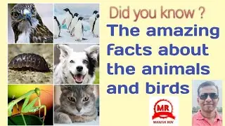 The amazing facts about the animals and birds || Did you know the amazing facts || gk