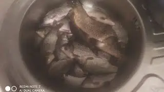 ПОЙМАЛ крупную маринку и сазана