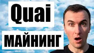 How to Mine Quai on HiveOS and Windows with a Video Card Using the Kawpow Algorithm (for Beginners)