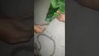 হাওয়াই বাজি আগের দিনের পোলাপান এই মজাটা করত village amazing video