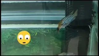 Feeding Time!!!