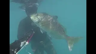Pesca in Apnea - Pesci d'Aprile