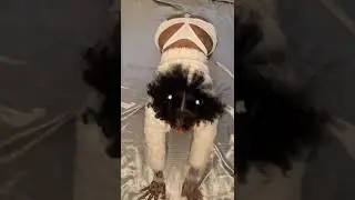 TOKISCHA PERRA MANIÁTICA BAILANDO SEXY 😍 🤩🤩🤩🤗