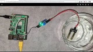 Raspberry Pi Water Sensor Notification system