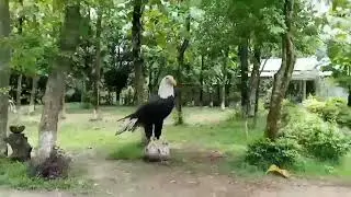 ধানসিড়ি পার্ক | Beautiful place in Gazipur