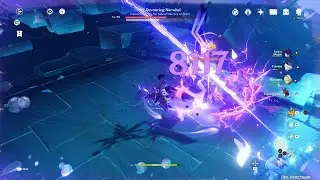 Whale fight Rematch Genshin Impact
