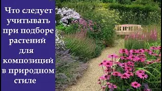 ❀ Что следует учитывать при подборе растений для композиций в природном стиле