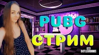 СТРИМ +ВЕБКА