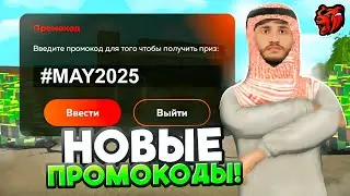 ✅ВСЕ РАБОЧИЕ ПРОМОКОДЫ в 2025 - BLACK RUSSIA
