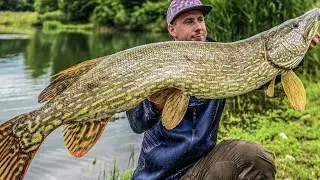 Monster ESOX caught on Green Bay - Giant Pike