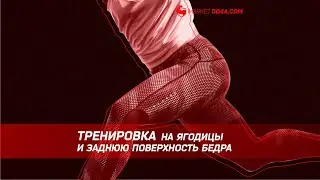 Тренировка на ягодицы и заднюю поверхность бедра