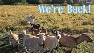 Update On The Farm!