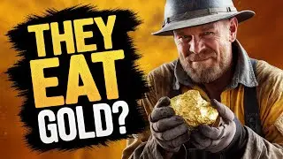 10 facts about Professional Gold Miners - Do they eat gold?