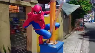 SpiderDan for Leni
