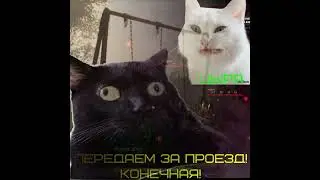 Стример, остановись! du3er хочет жить 