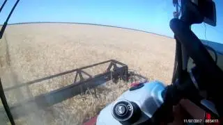 ЖАТВА ПРОДОЛЖАЕТСЯ ACROS 585
