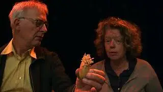 Trailer: 'LAAT ME NIET'