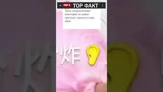 Какой континент считается  