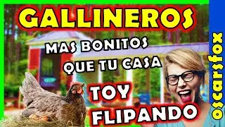 Gallineros Hechos por Gente Muy Creativa 💖 2022 💖 los gallineros mas bonitos del mundo