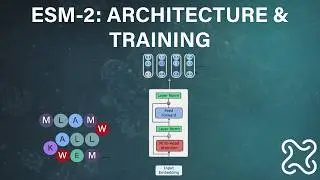 ESM-2 Protein Language Model Explained – Architecture & Training