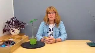 Формирование адениума (ч.1).