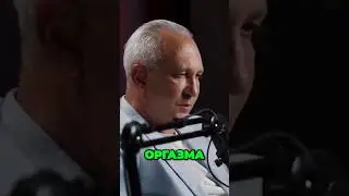 Как работает дофамин и откуда удовольствие. - Алексей Ситников